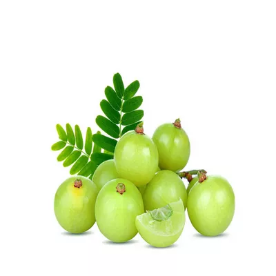 amloki-amla-12-gm-250-gm