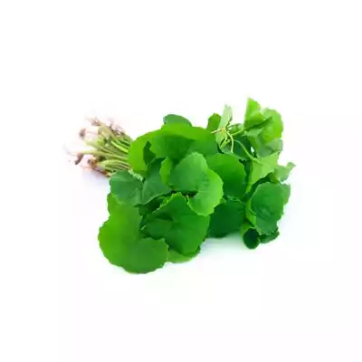 thankuni-pata-pennywort-leaves-1-bundle